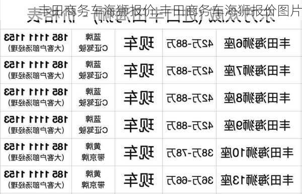 丰田商务车海狮报价,丰田商务车海狮报价图片