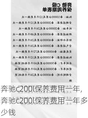 奔驰c200l保养费用一年,奔驰c200l保养费用一年多少钱