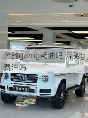 奔驰gamg耗油吗,奔驰g费油吗