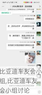 比亚迪车友会小组,比亚迪车友会小组讨论