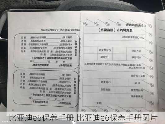 比亚迪e6保养手册,比亚迪e6保养手册图片