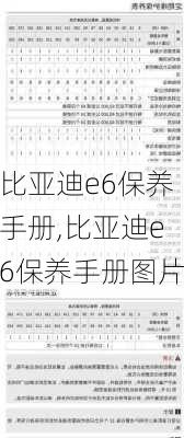 比亚迪e6保养手册,比亚迪e6保养手册图片