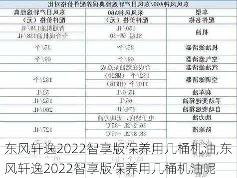 东风轩逸2022智享版保养用几桶机油,东风轩逸2022智享版保养用几桶机油呢