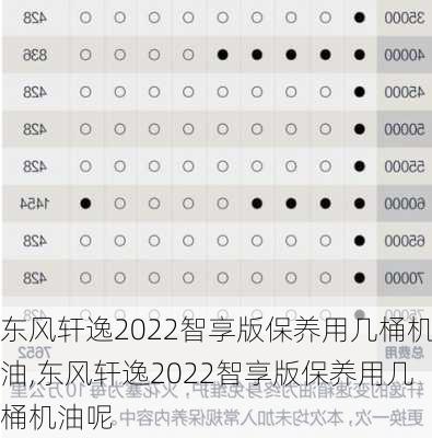 东风轩逸2022智享版保养用几桶机油,东风轩逸2022智享版保养用几桶机油呢