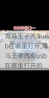 海马王子汽车usb在哪里打开,海马王子汽车usb在哪里打开的