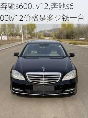 奔驰s600l v12,奔驰s600lv12价格是多少钱一台