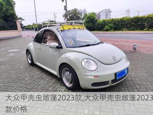 大众甲壳虫敞篷2023款,大众甲壳虫敞篷2023款价格