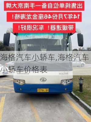 海格汽车小轿车,海格汽车小轿车价格表