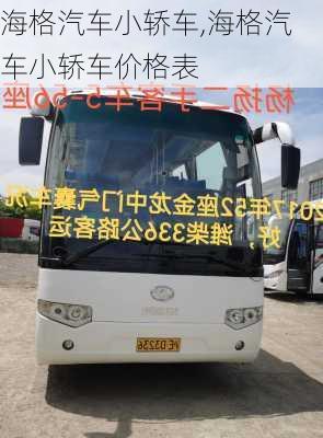 海格汽车小轿车,海格汽车小轿车价格表