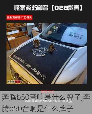 奔腾b50音响是什么牌子,奔腾b50音响是什么牌子