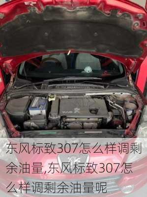 东风标致307怎么样调剩余油量,东风标致307怎么样调剩余油量呢